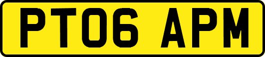PT06APM