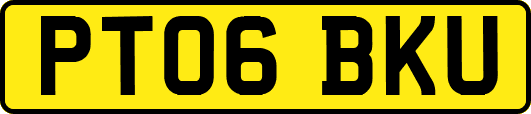 PT06BKU