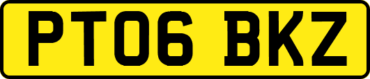 PT06BKZ