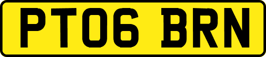 PT06BRN