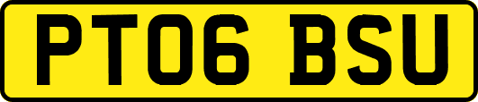PT06BSU