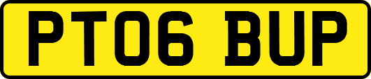 PT06BUP