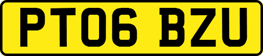 PT06BZU