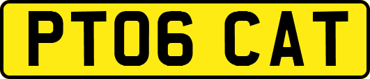 PT06CAT