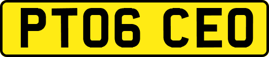 PT06CEO