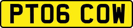 PT06COW