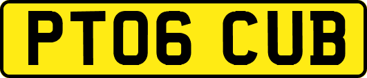 PT06CUB