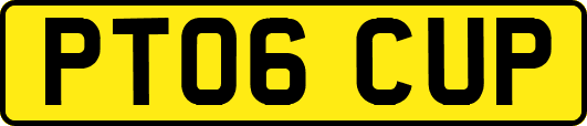 PT06CUP