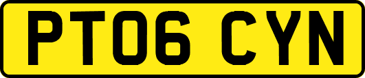 PT06CYN