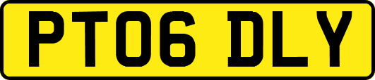 PT06DLY
