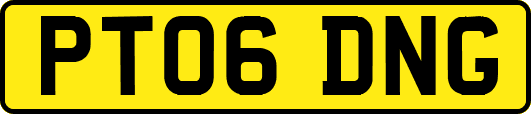 PT06DNG