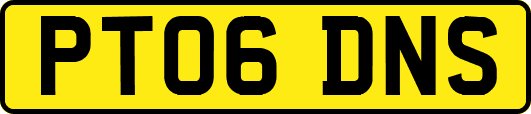 PT06DNS