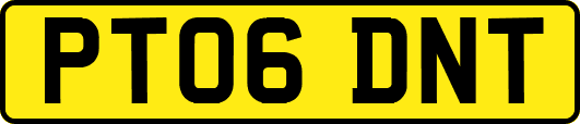 PT06DNT