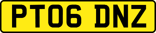 PT06DNZ
