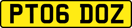 PT06DOZ