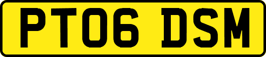 PT06DSM