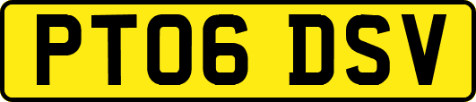 PT06DSV