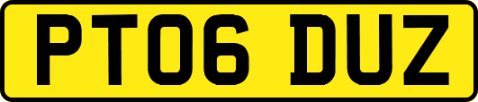 PT06DUZ