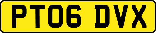 PT06DVX