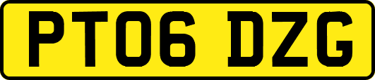 PT06DZG