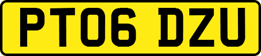 PT06DZU