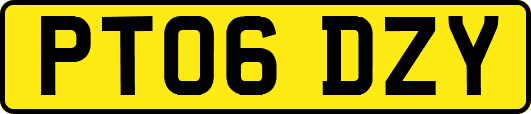 PT06DZY