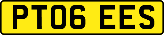 PT06EES