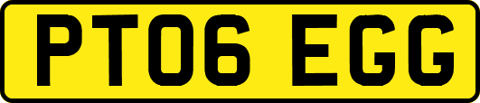 PT06EGG
