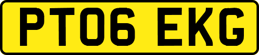 PT06EKG
