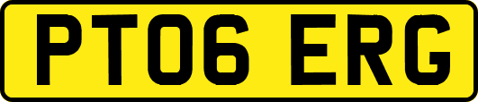 PT06ERG
