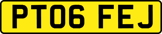 PT06FEJ
