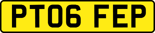 PT06FEP