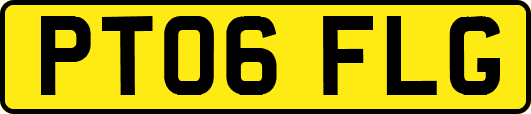 PT06FLG