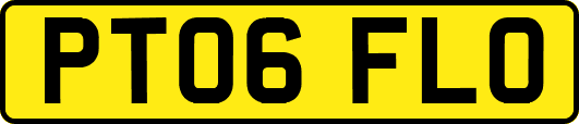 PT06FLO