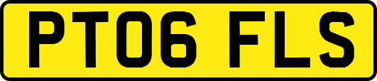 PT06FLS