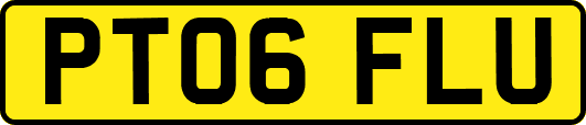 PT06FLU