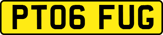 PT06FUG
