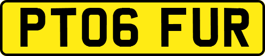 PT06FUR