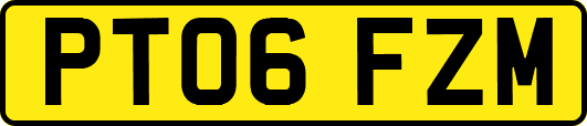 PT06FZM