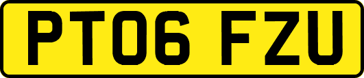 PT06FZU