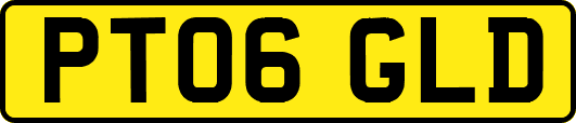 PT06GLD