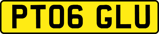 PT06GLU