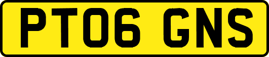 PT06GNS