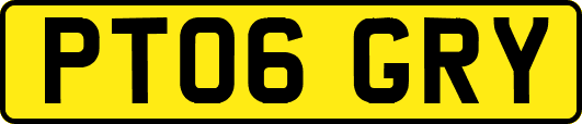 PT06GRY