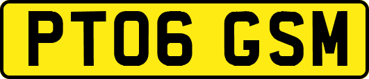 PT06GSM