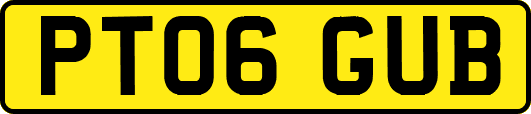 PT06GUB