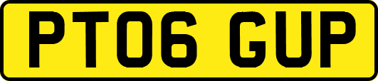 PT06GUP