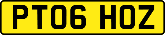 PT06HOZ
