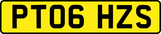 PT06HZS