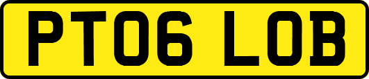 PT06LOB